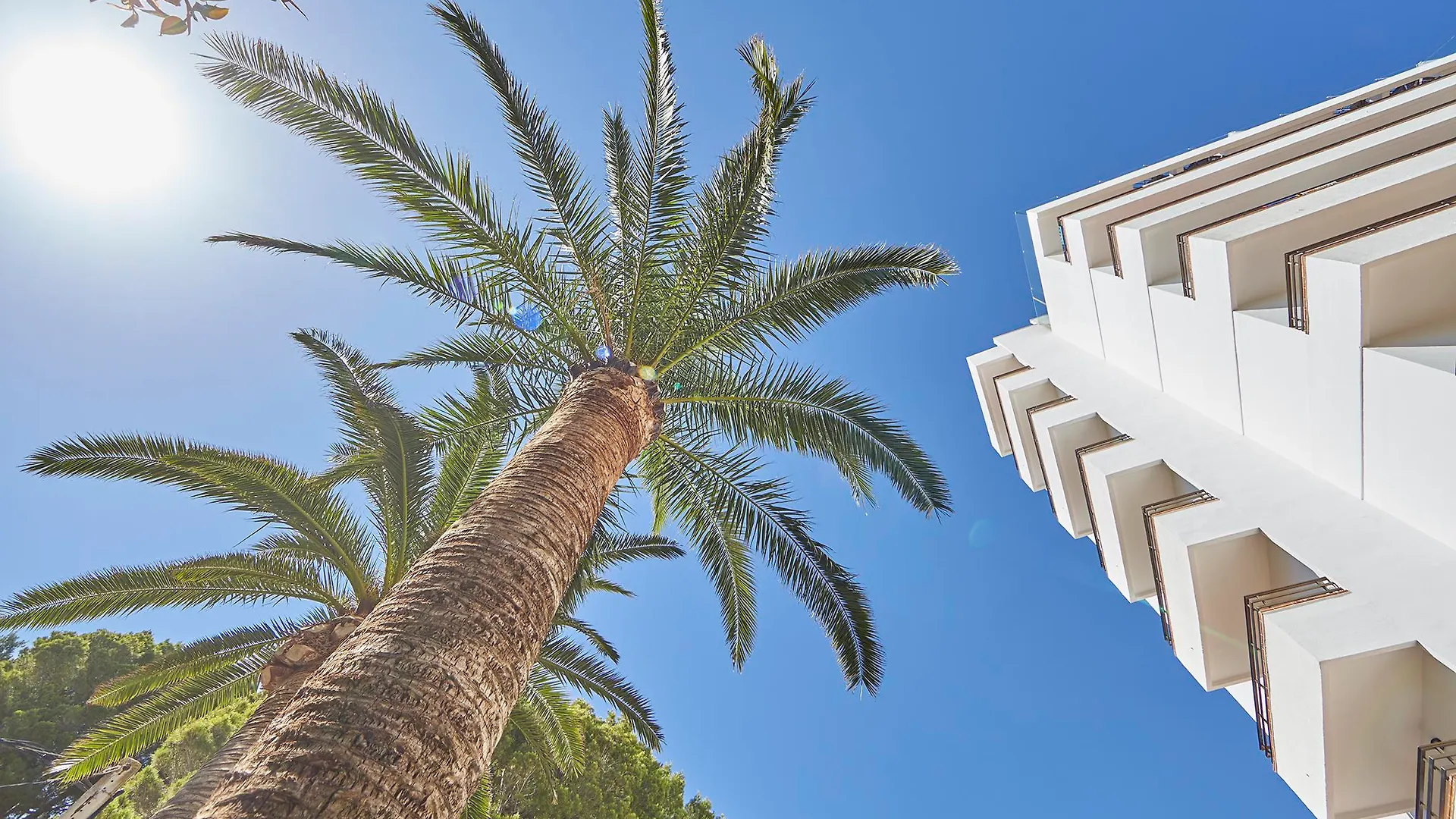 פלאייה דה פאלמה Hotel Principe Wellness&Spa פלאייה דה פאלמה